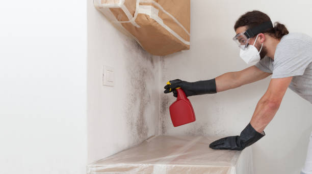 Professional Mold Inspection And Testing technician working in Pineville, PA